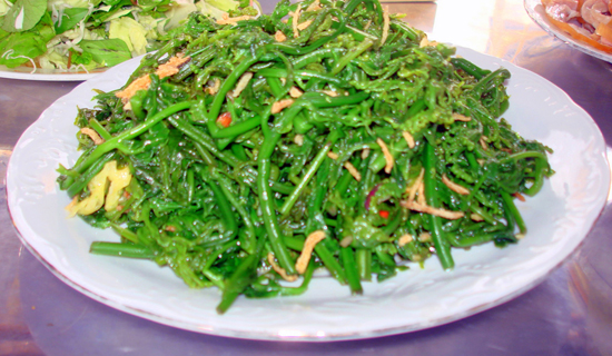 Hình ảnh có liên quan