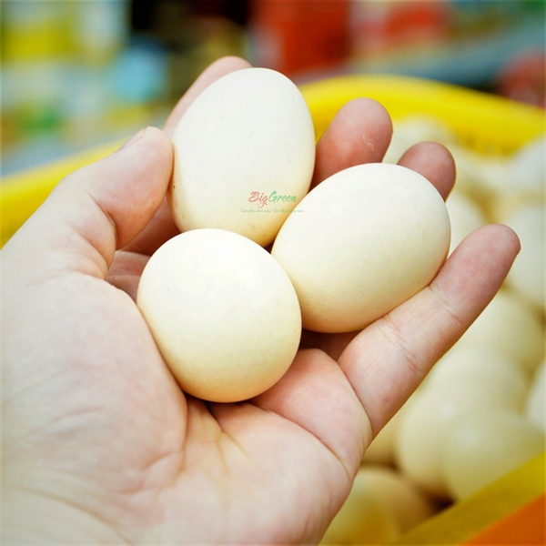 Trứng gà bản (mua 30 quả)