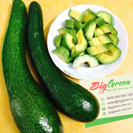 Bơ sáp 034 Đắk Lắc