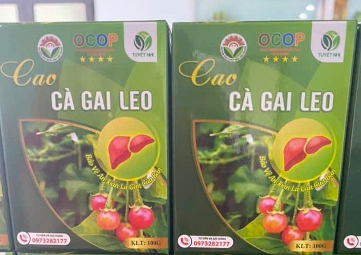 Cao Cà Gai Leo Tuyết Nhi