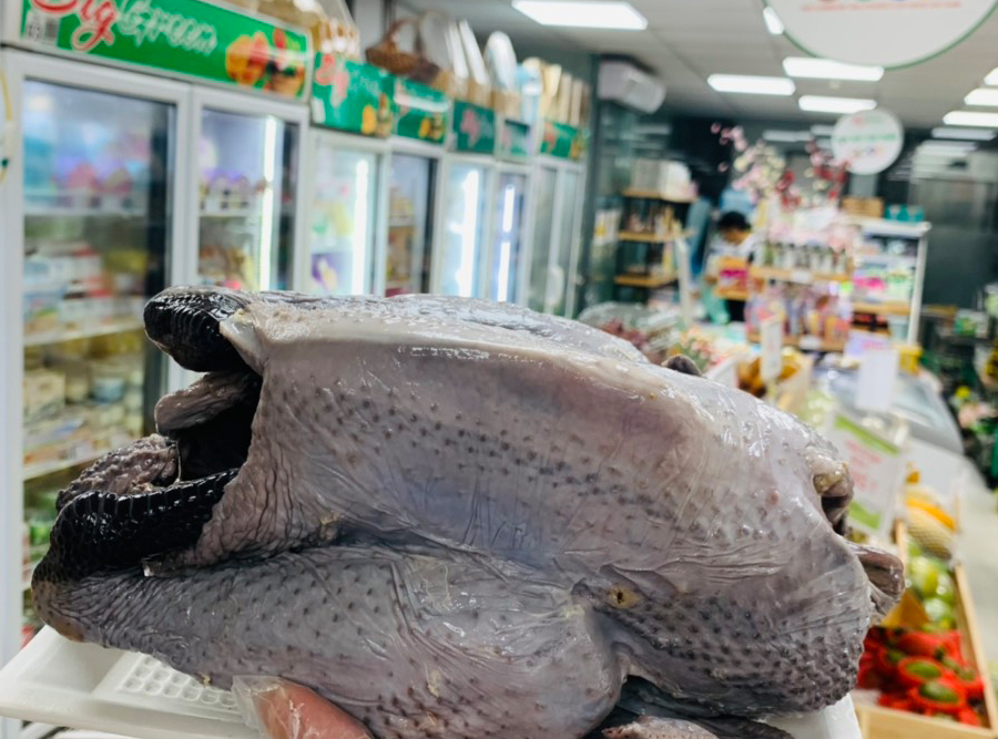 Gà đen H'Mông