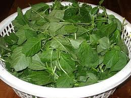 Rau Dền cơm