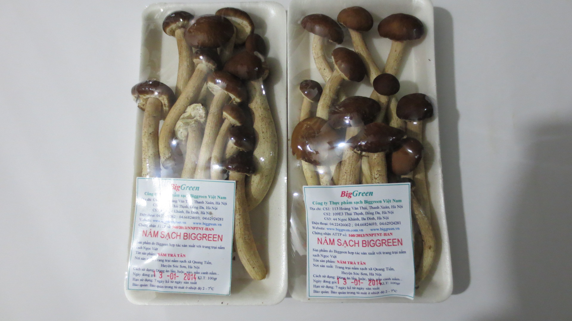 Nấm Trà Tân (2614003)