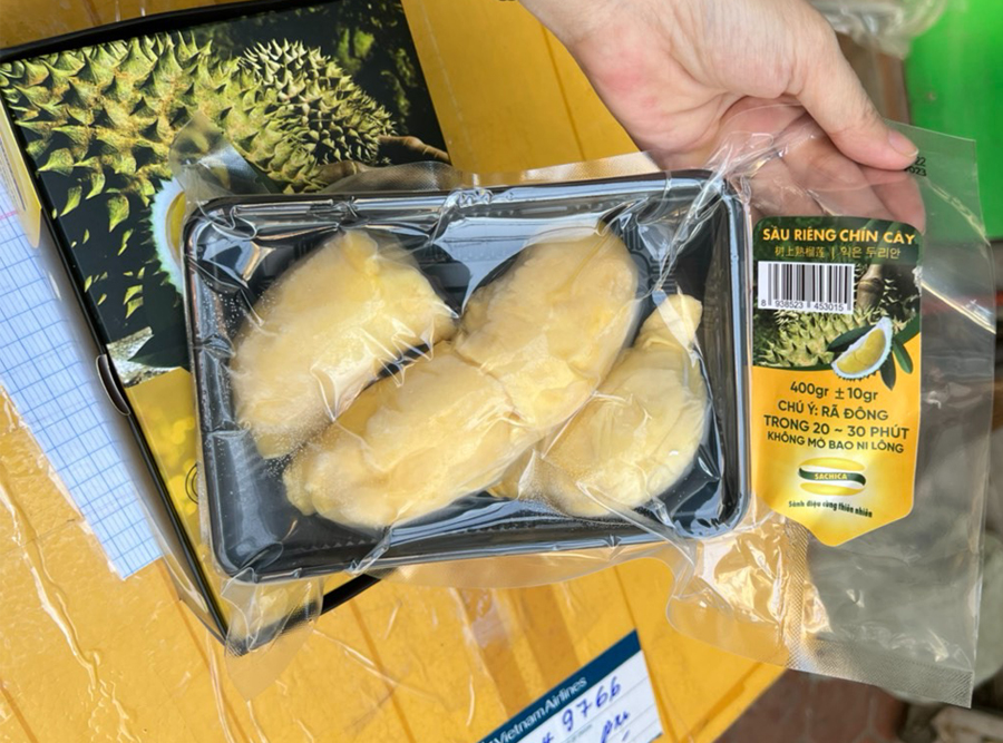 Sầu Riêng Chín Cây SACHICA