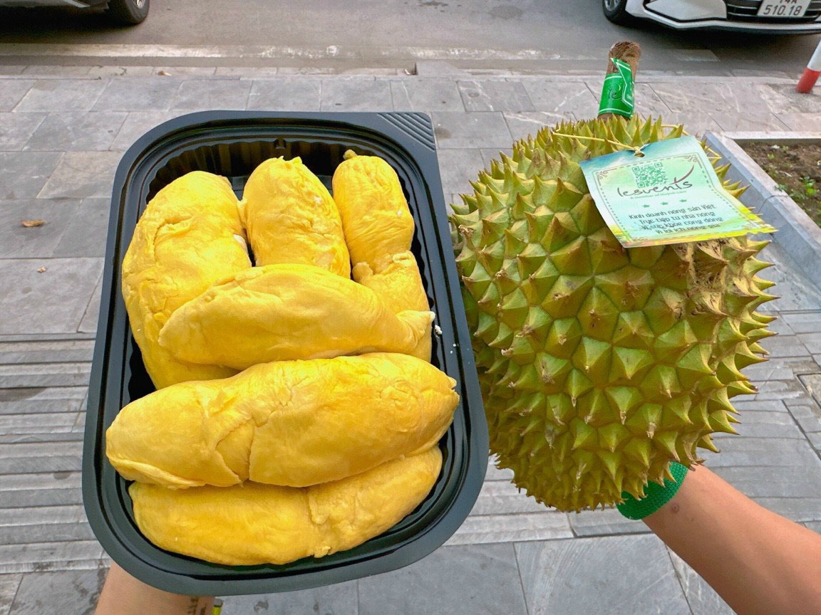 Sầu riêng Ri6 huỳnh lâm