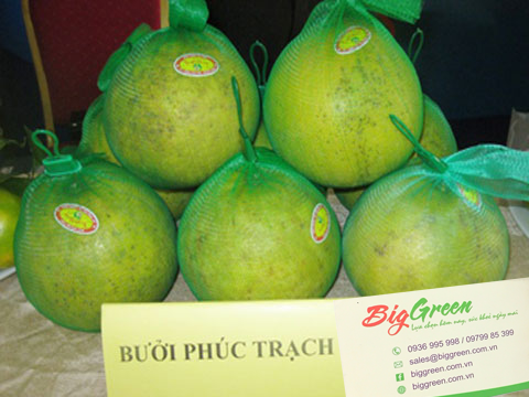 Bưởi Phúc Trạch Hà Tĩnh