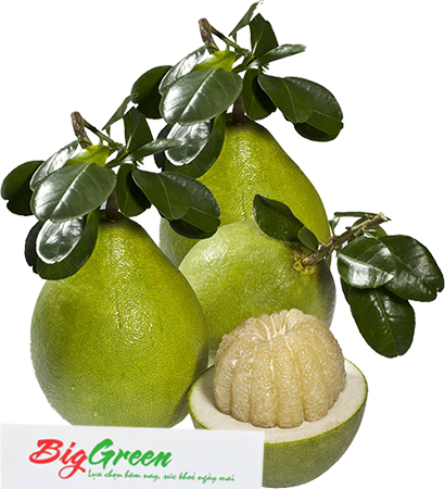 Bưởi đường lá cam