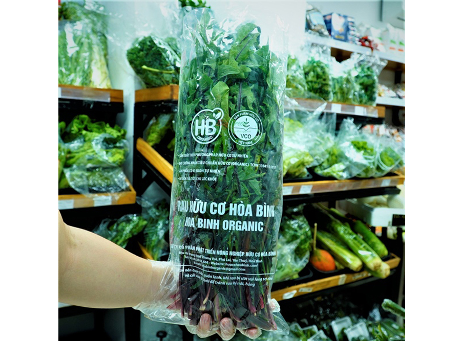 Bồ công anh tím hữu cơ hòa bình Organic