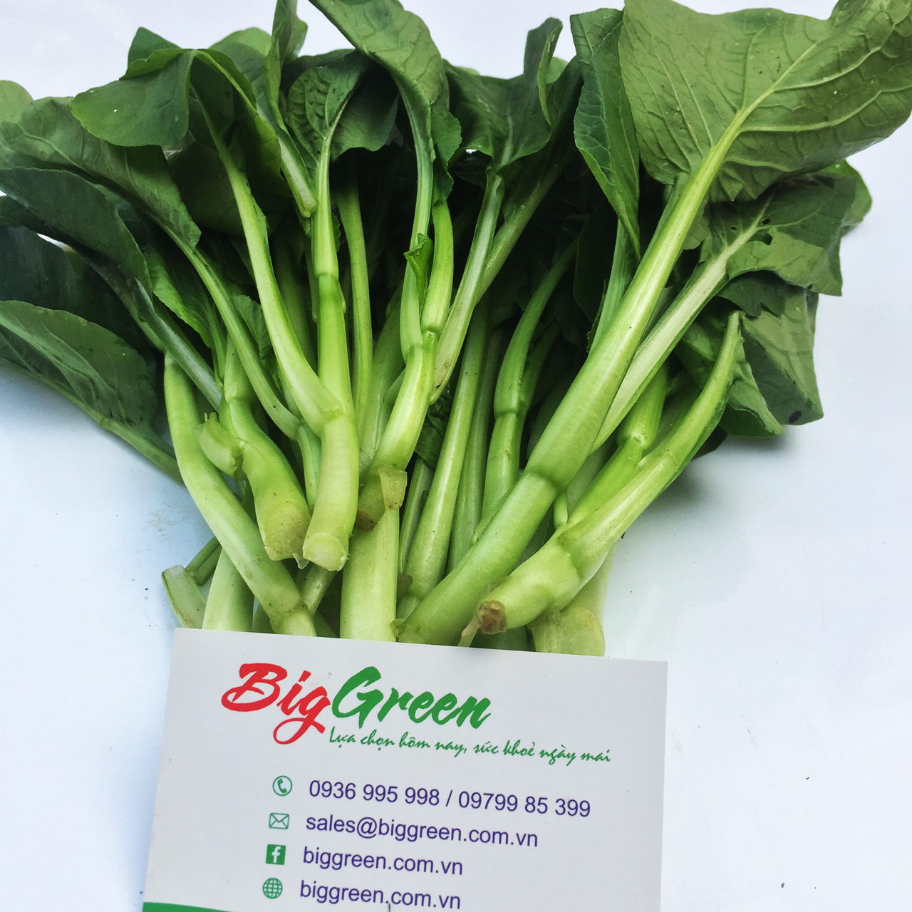 Rau Cải Ngồng VietGAP