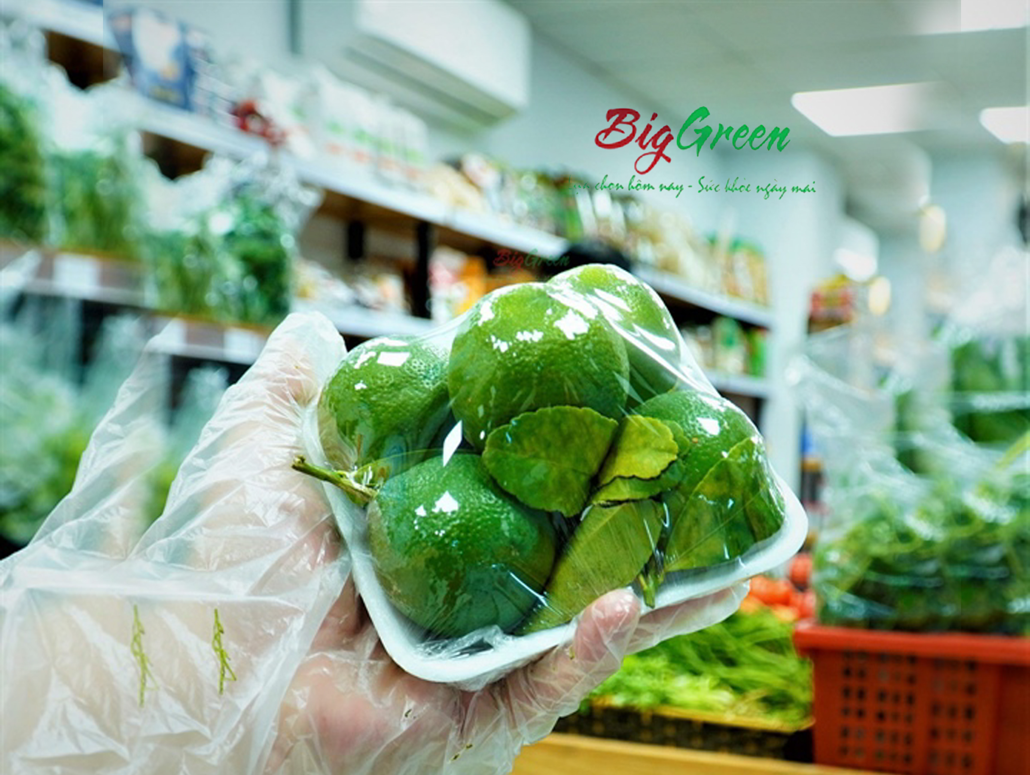 Chanh Tươi ViệtGAP