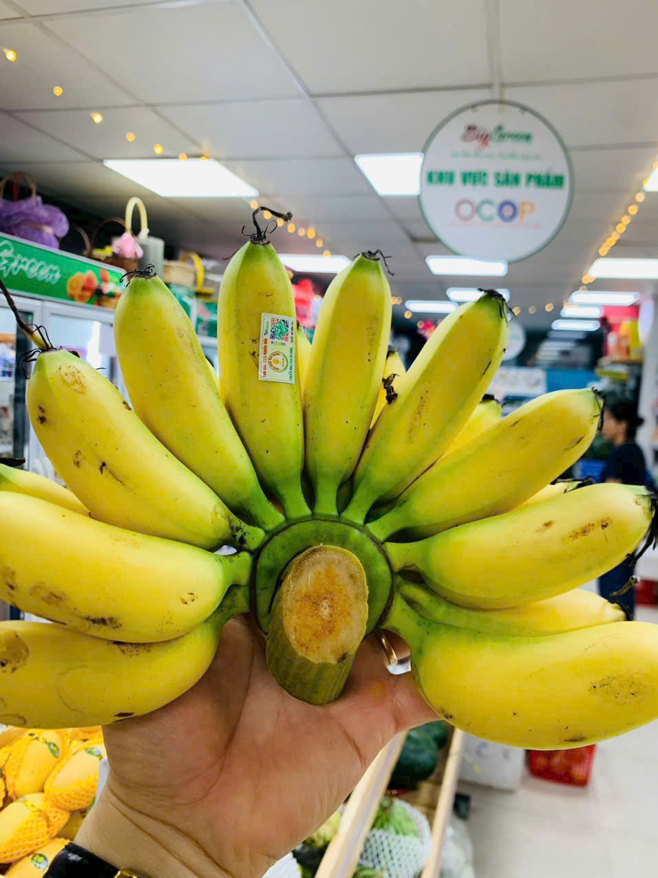 Chuối ngự Đại Hoàng (2621045)