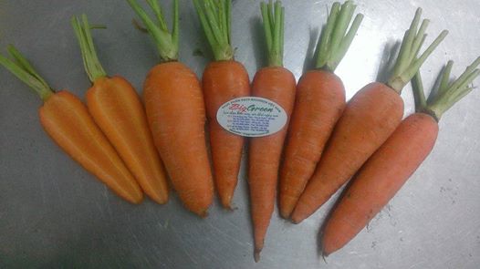 Củ cà rốt vietgap