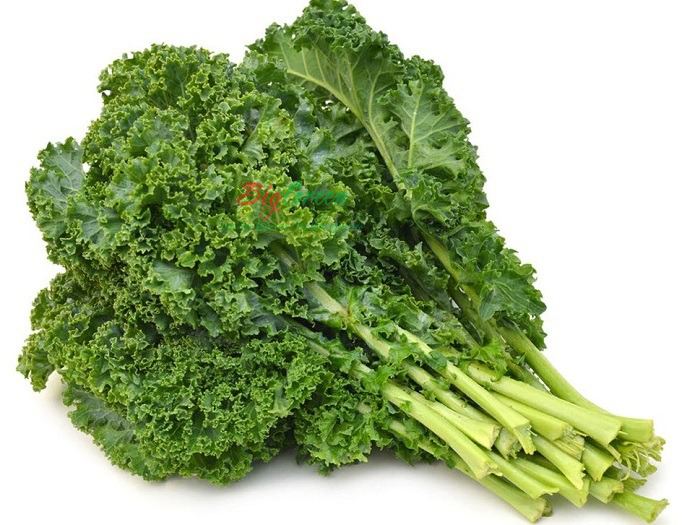 Cải Kale (Cải Xoăn) Hữu Cơ Hòa Bình Organic