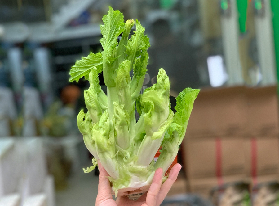 Cải Mầm đá Sapa