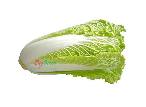 Cải Thảo Vietgap