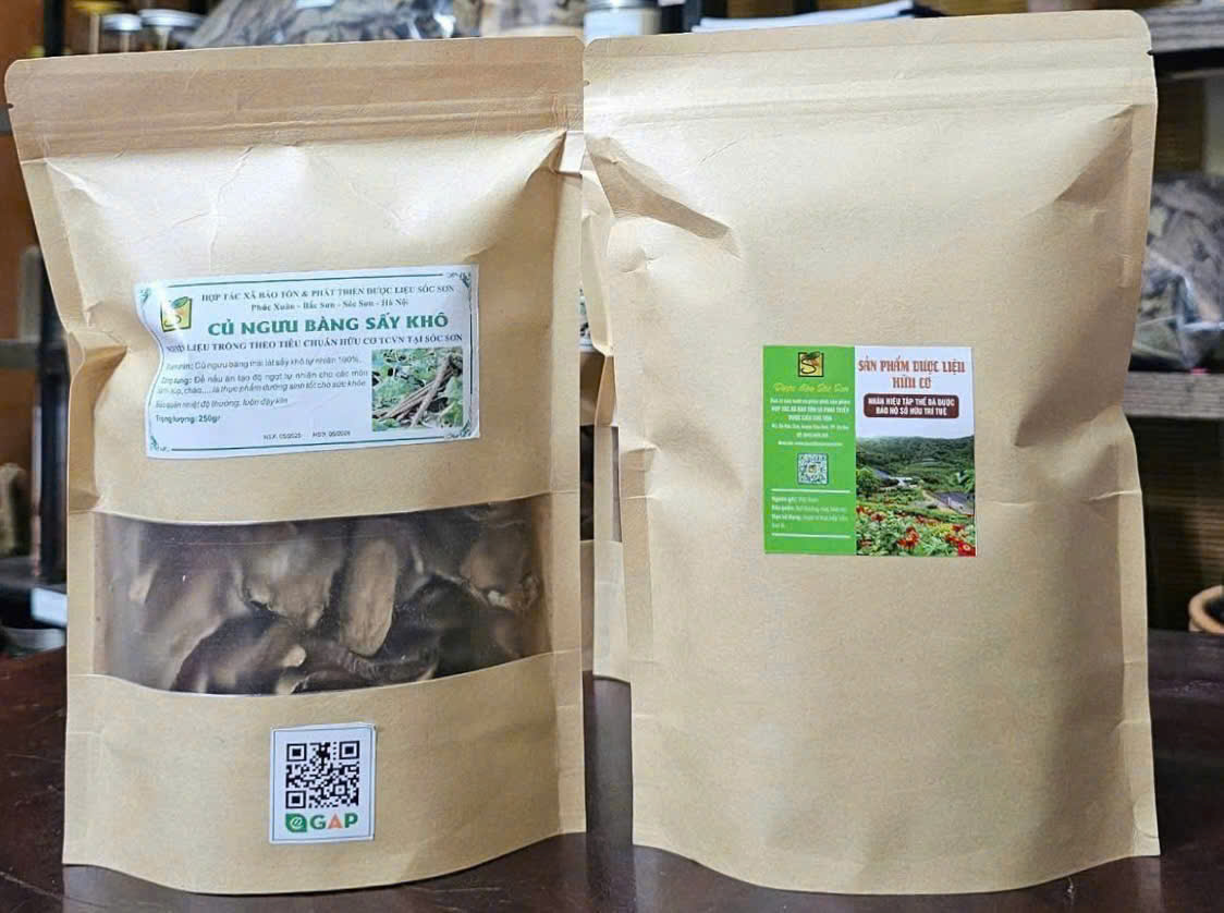 Củ Ngưu Bàng Hữu cơ sấy khô