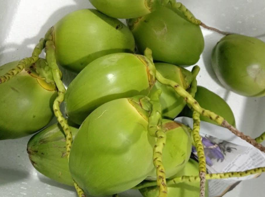 Dừa Cúng Tết - Ý Nghĩa, Cách Cúng và Các Mẫu Văn Khấn Truyền Thống