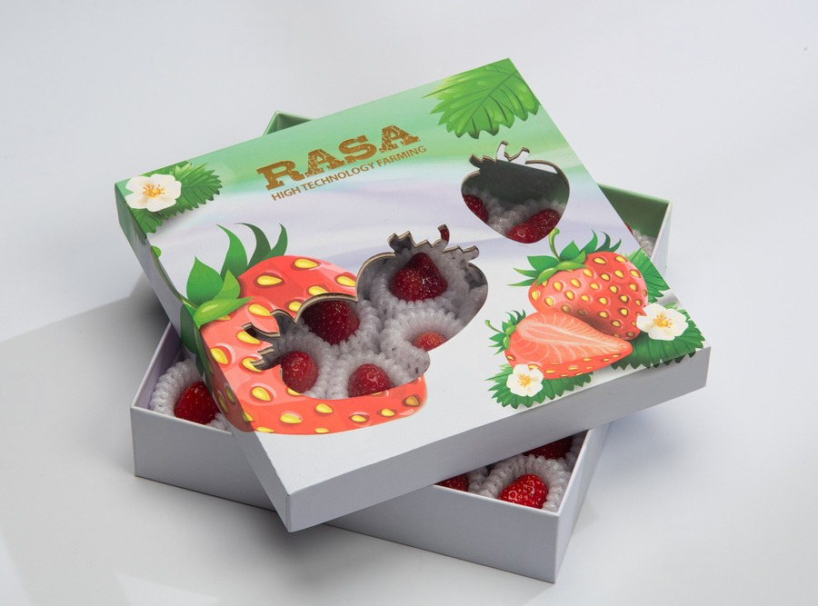 Dâu tây Rasa thánh