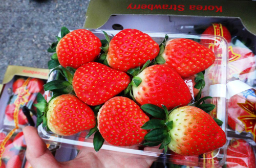 Dây tây Hàn Quốc hộp 300g