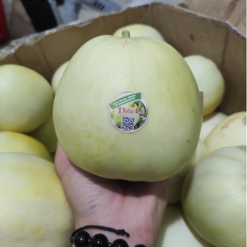 Dưa lê Ninh Bình