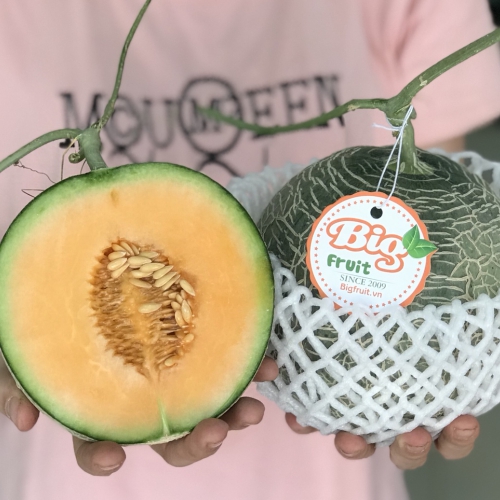 Dưa lưới BB Garden