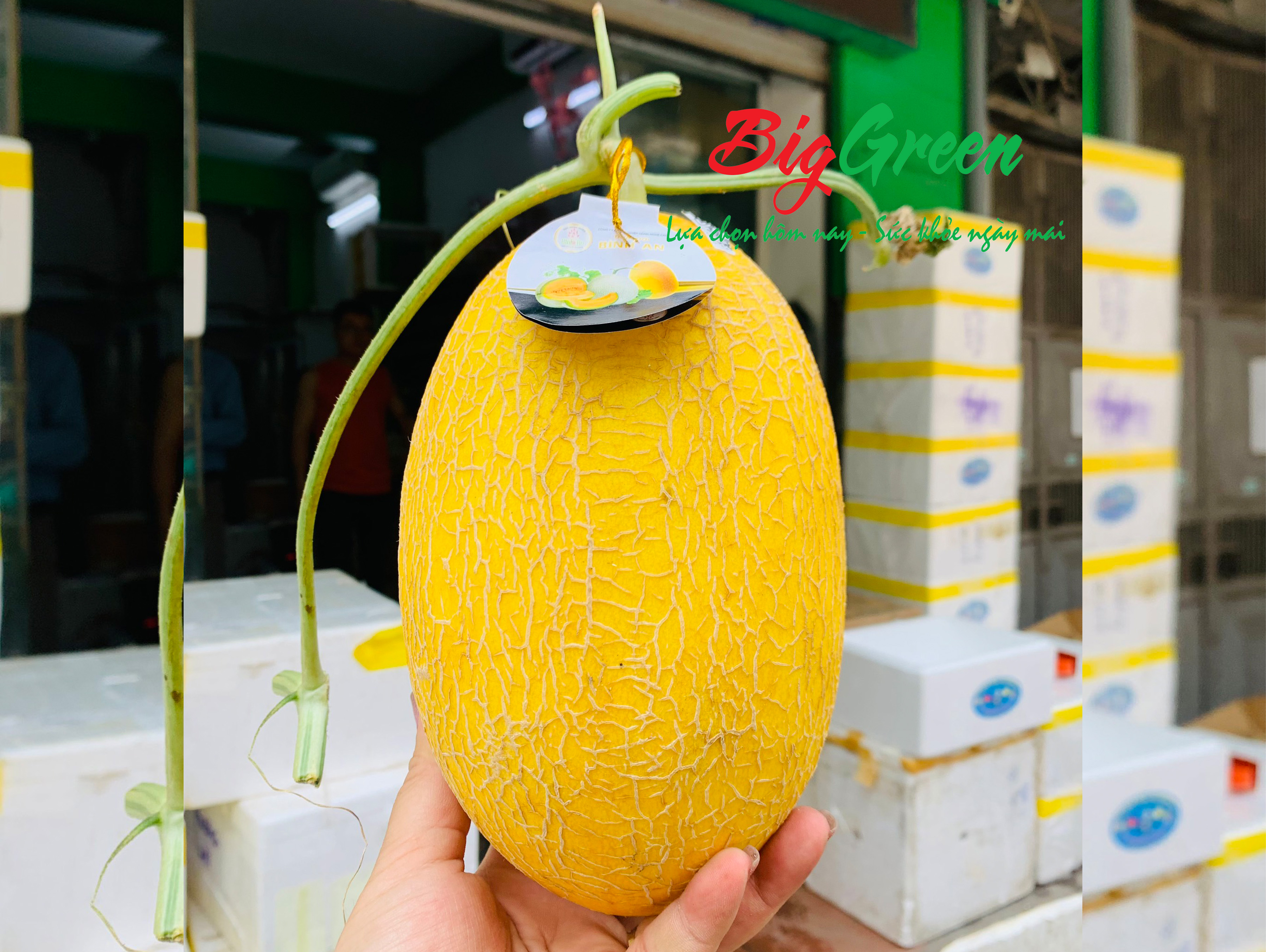 Dưa lưới huỳnh long bình an