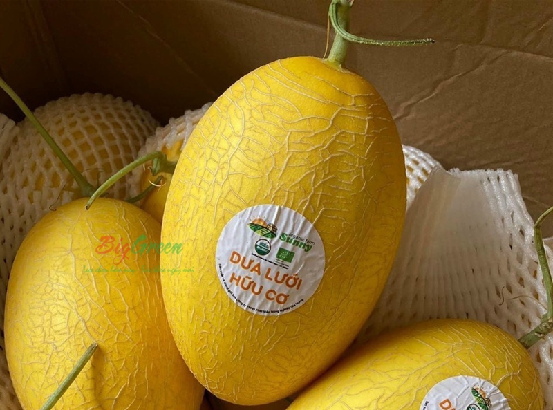 Dưa lưới huỳnh long hữu cơ