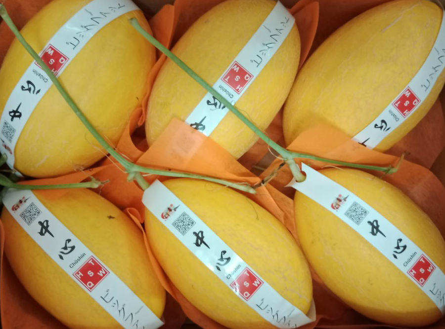 Dưa lưới huỳnh long