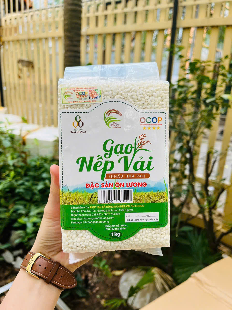 Gạo Nếp Vải - Ôn Lương