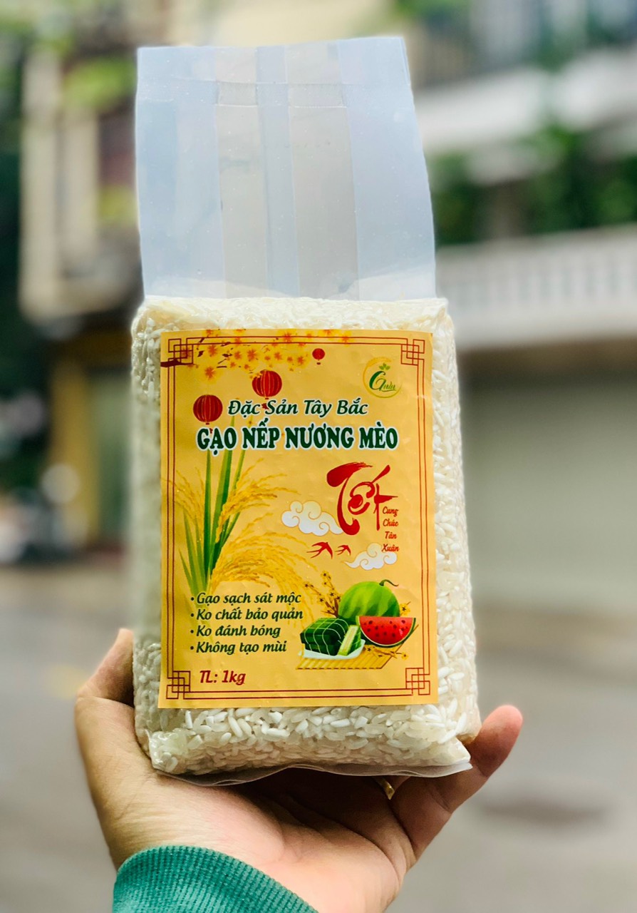 Gạo Nếp Nương Mèo Tây Bắc