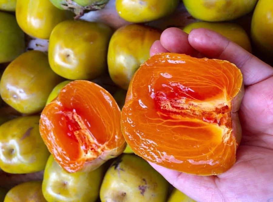 Hồng Da Tre