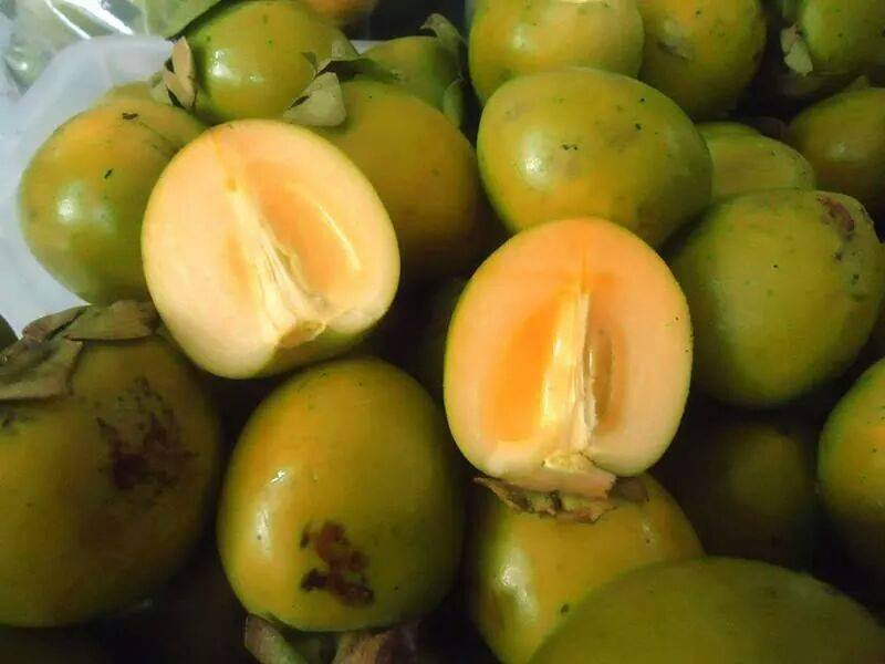 Hồng ngâm quản bạ