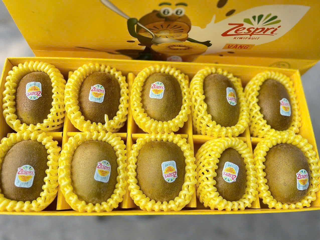 Hộp quà KIWI vàng 10 quả