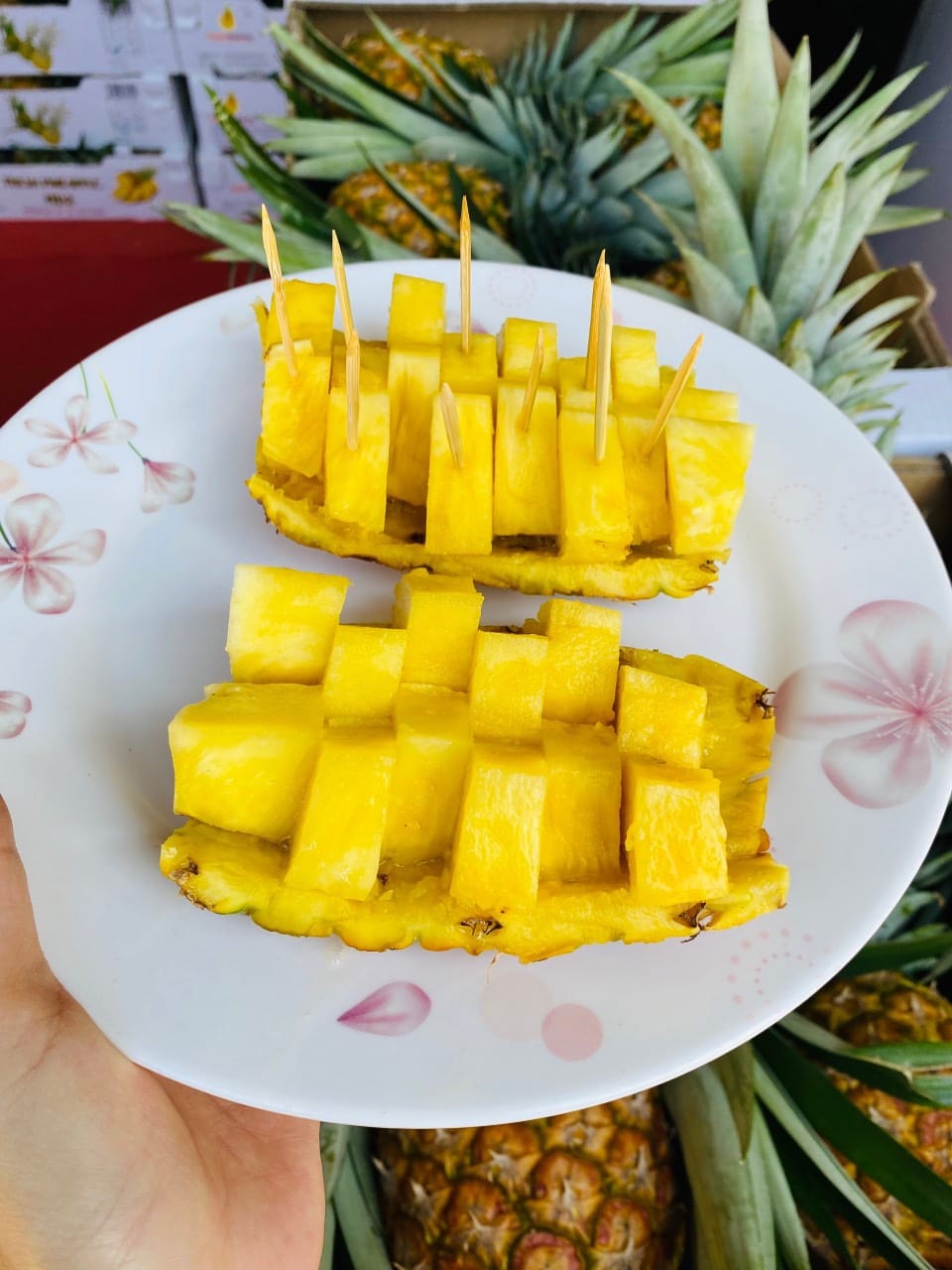 Dứa mật xuất khẩu, bán dứa mật xuất khẩu, chuyên cung cấp dứa mật xuất khẩu