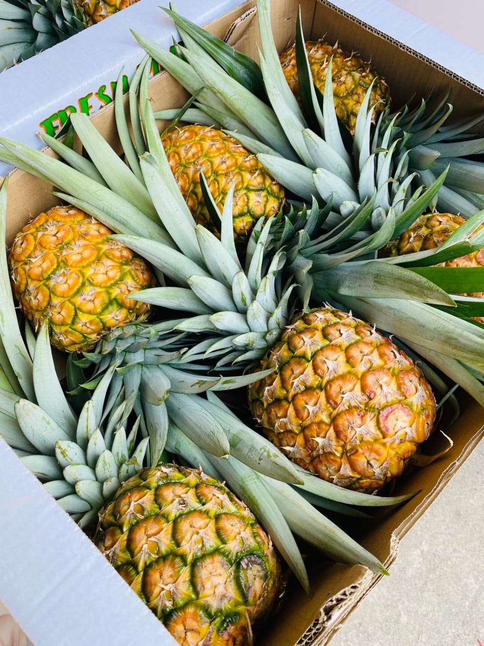 Dứa mật xuất khẩu, bán dứa mật xuất khẩu, chuyên cung cấp dứa mật xuất khẩu