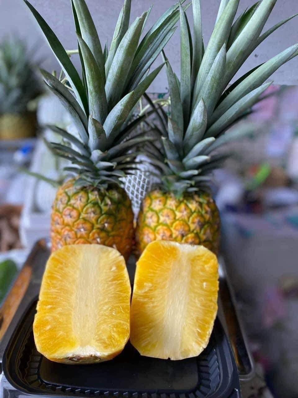 Dứa mật xuất khẩu, bán dứa mật xuất khẩu, chuyên cung cấp dứa mật xuất khẩu