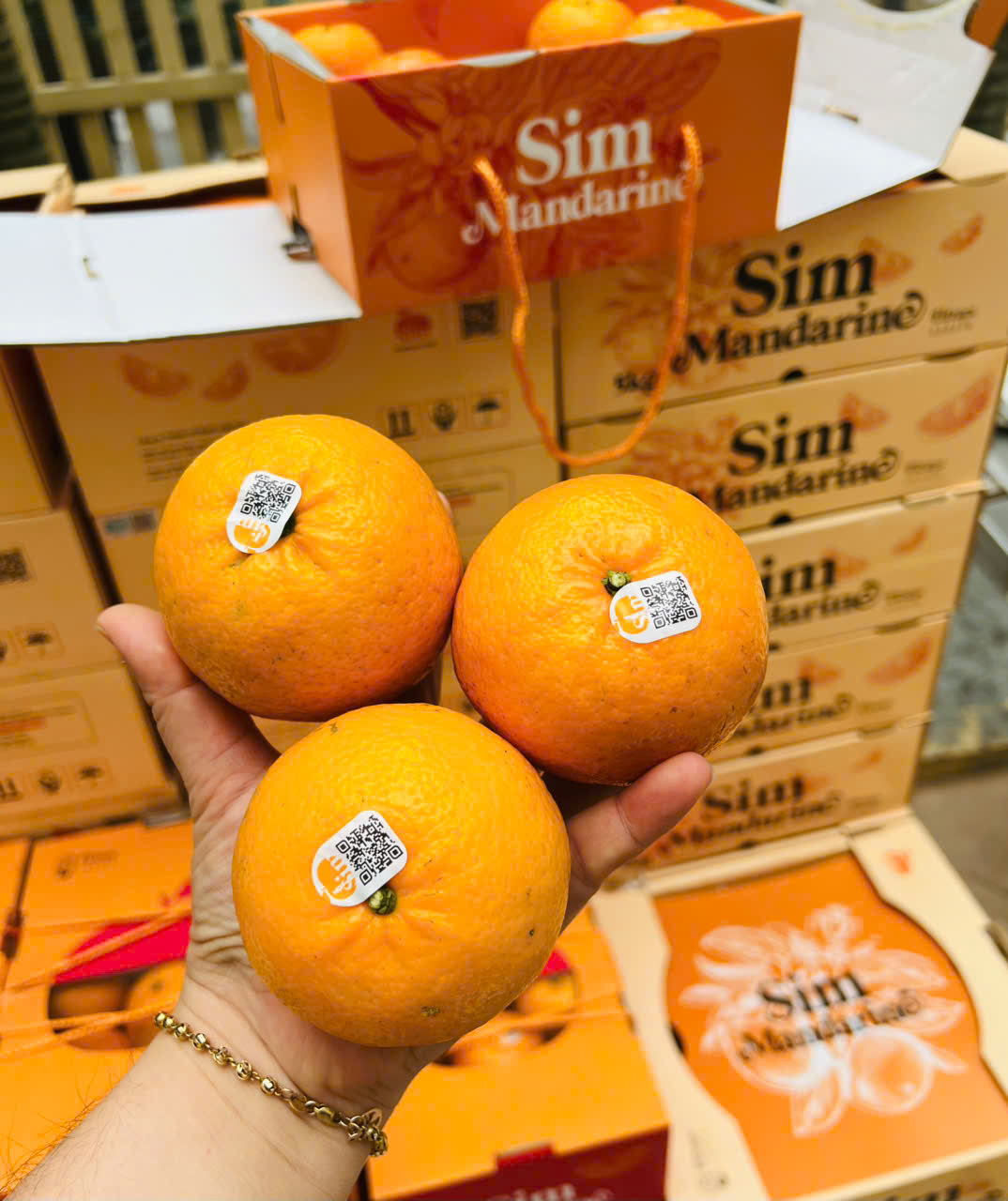 Quýt Sim cơ bản thùng 5kg