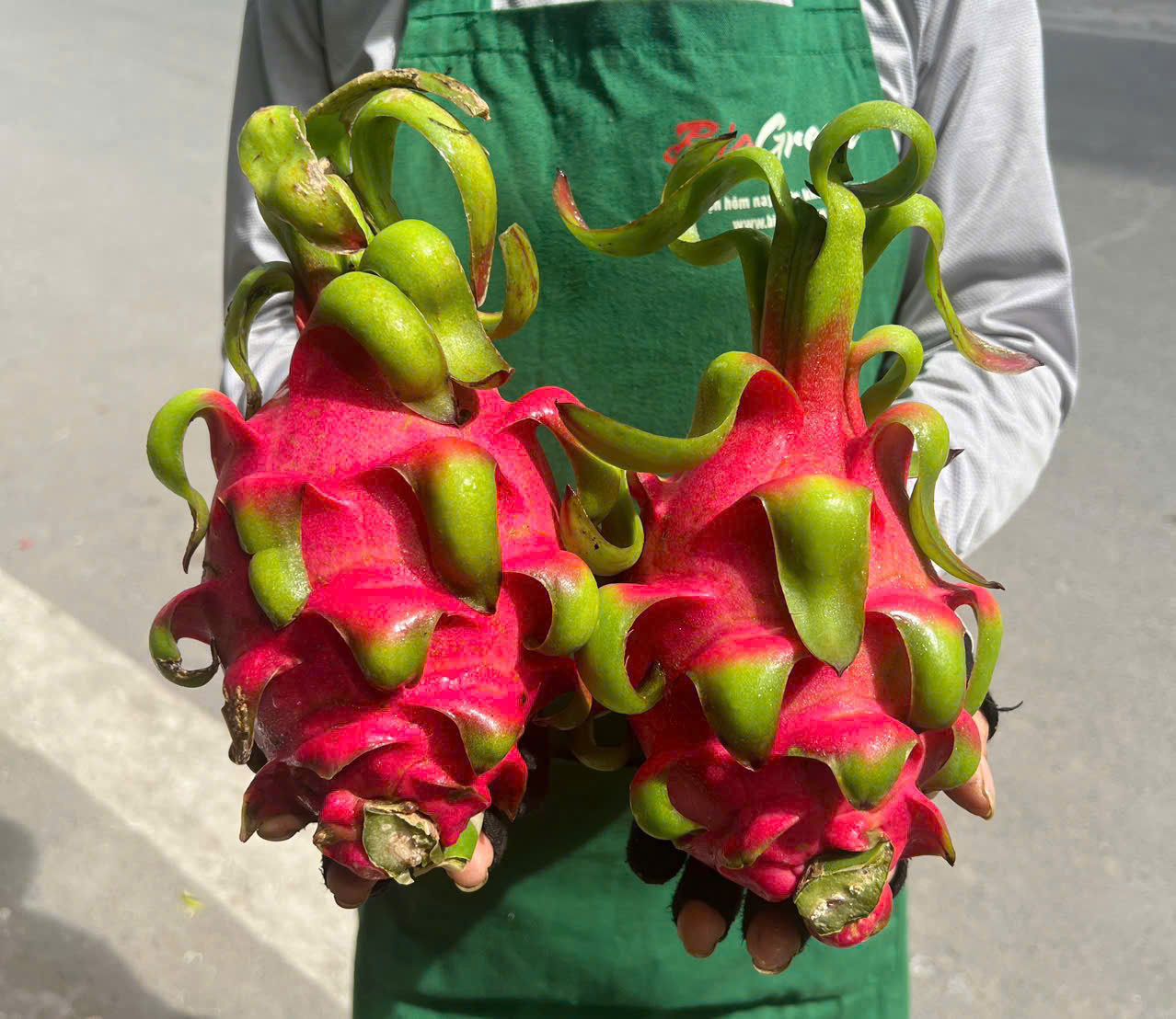 Thanh long ruột đỏ