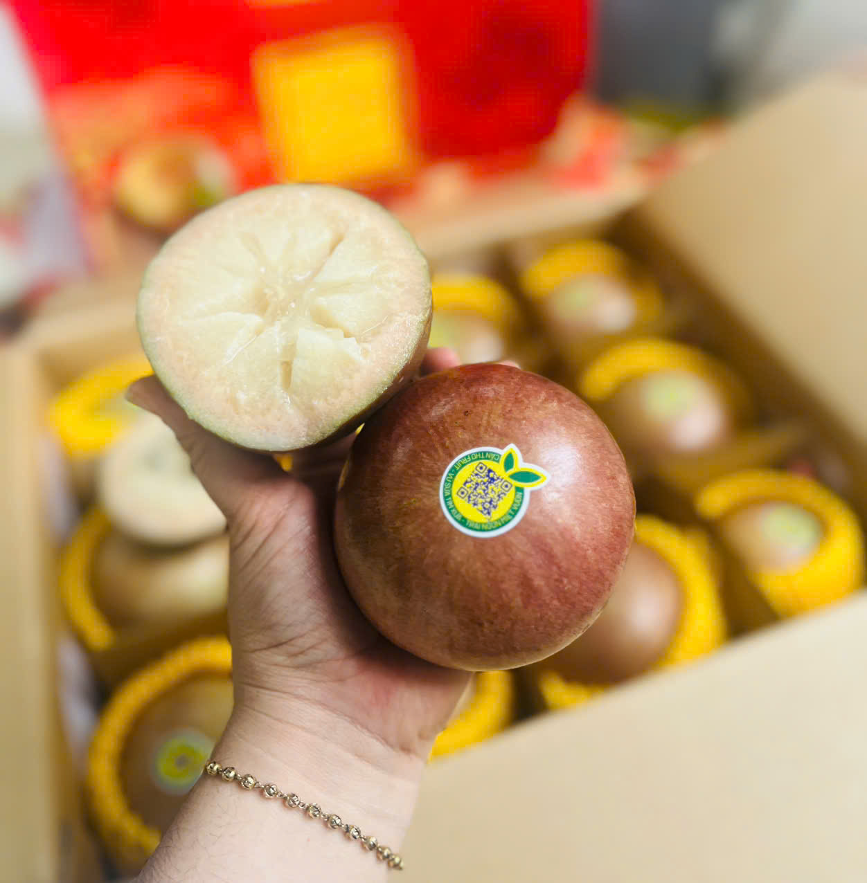 Vú sữa bơ hồng