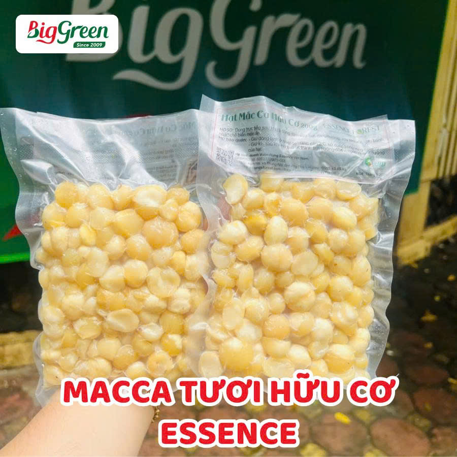 Hạt Mắc Ca tươi Hữu cơ Essence