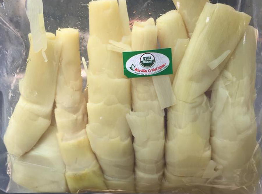 Măng nứa tươi hữu cơ đại ngàn