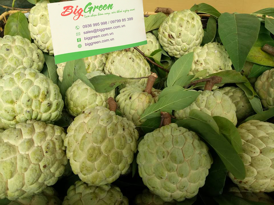 Na Chi Lăng - Lạng Sơn