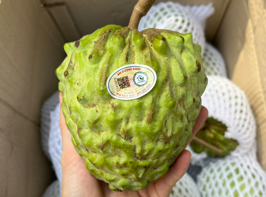 Na dứa giống đài