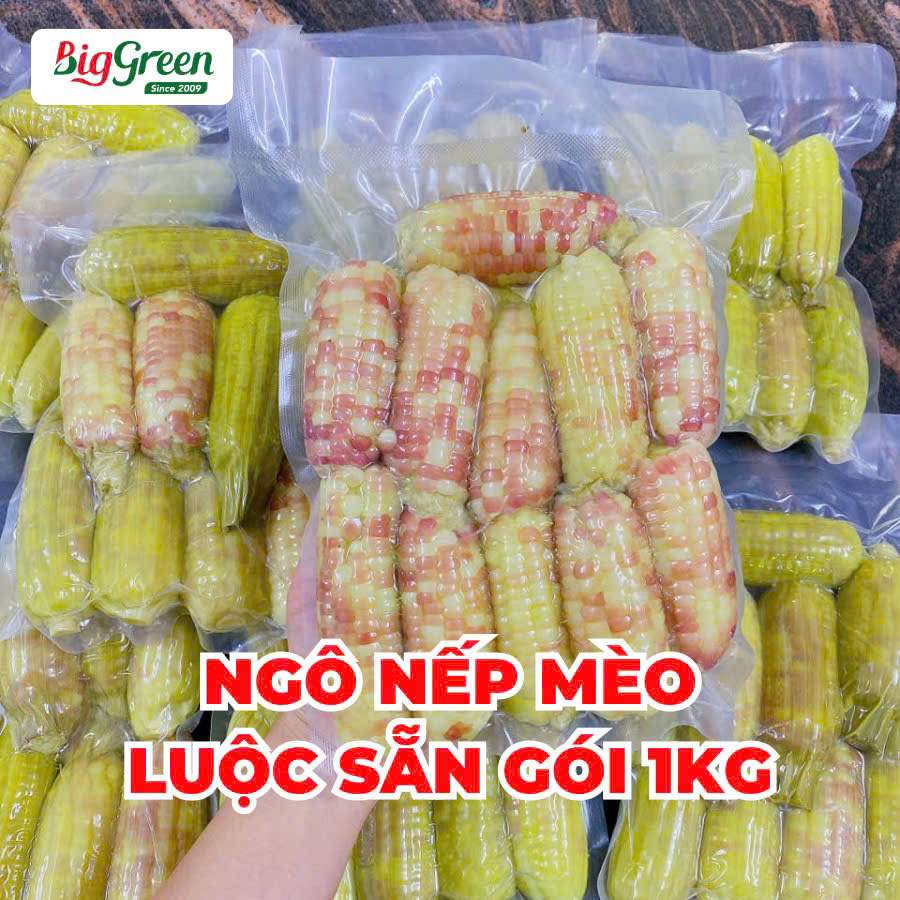 Ngô Nếp Mèo Điện Biên