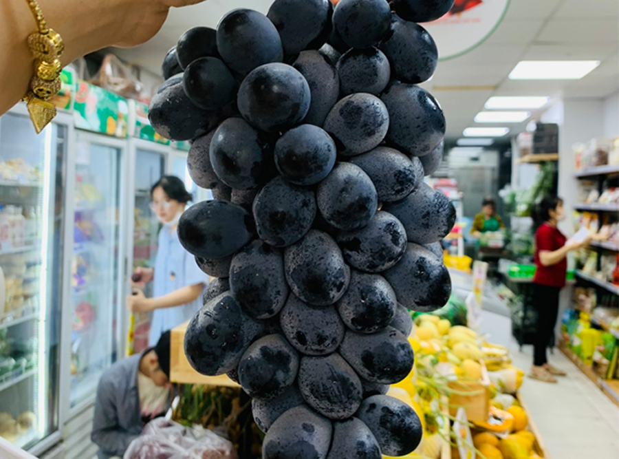 Nho sữa đen