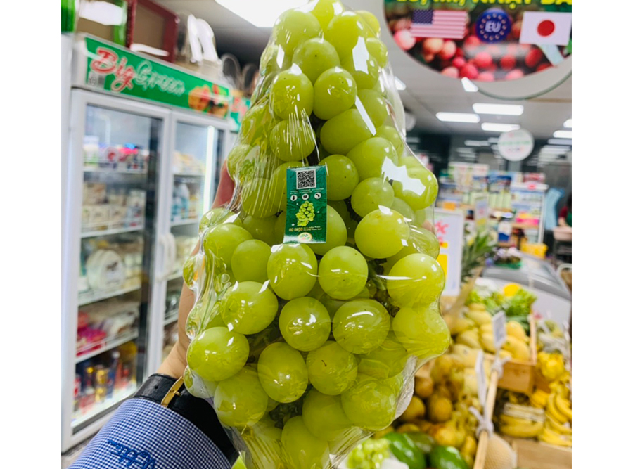 Nho Mẫu Đơn (Nho Sữa Việt Nam)