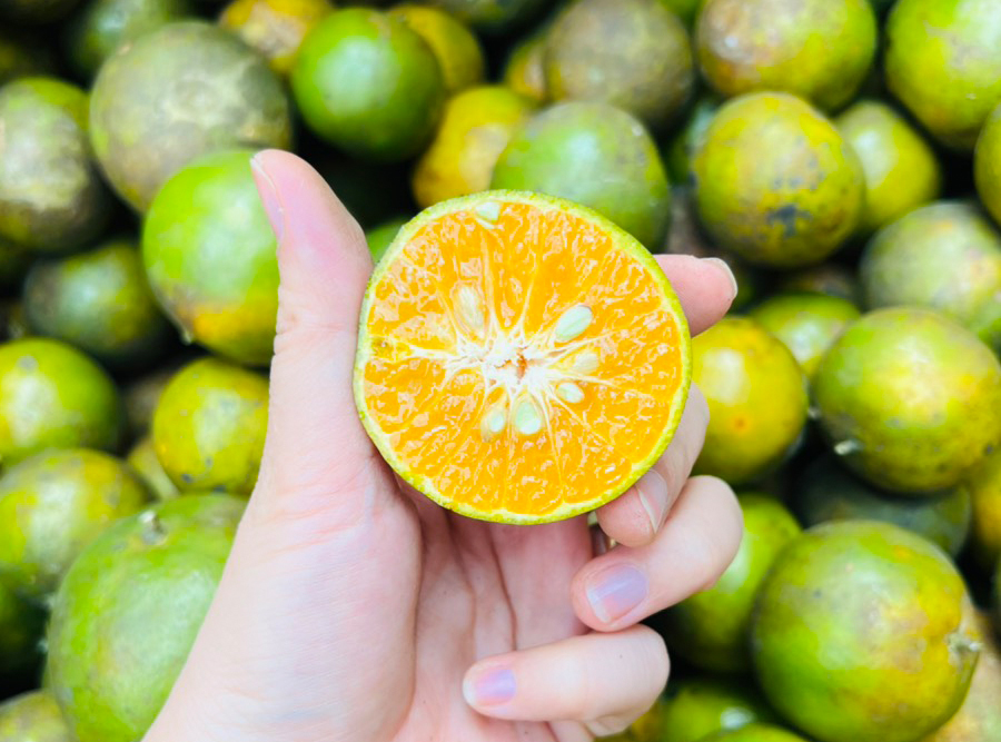 Quýt hữu cơ