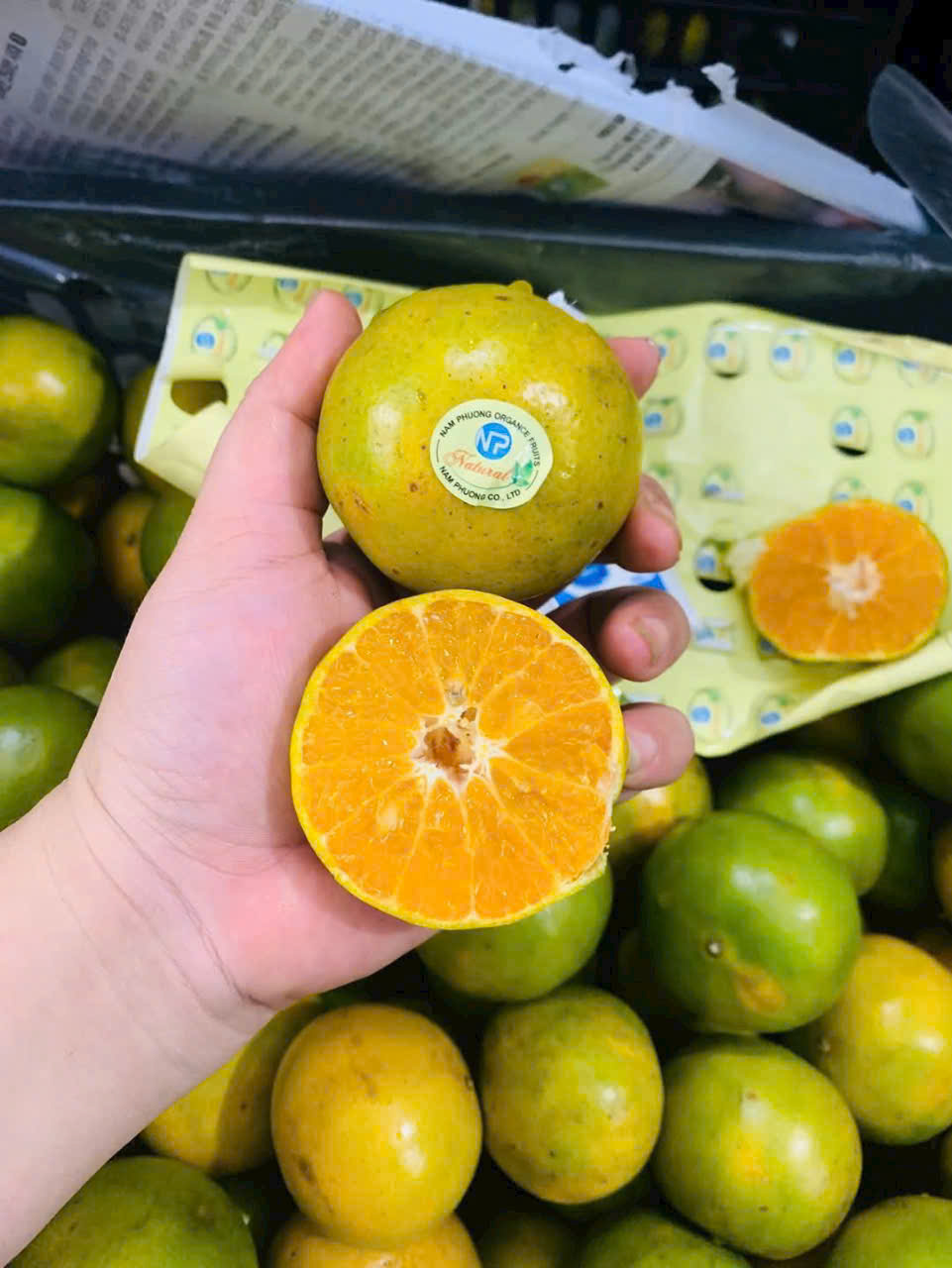 Quýt hữu cơ
