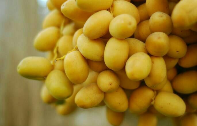 Qủa Chà Là Vàng - Thái Lan