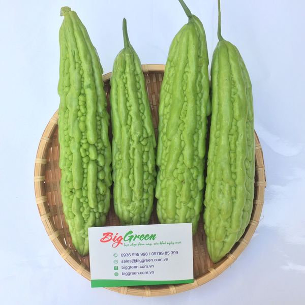 Mướp đắng Mộc Châu